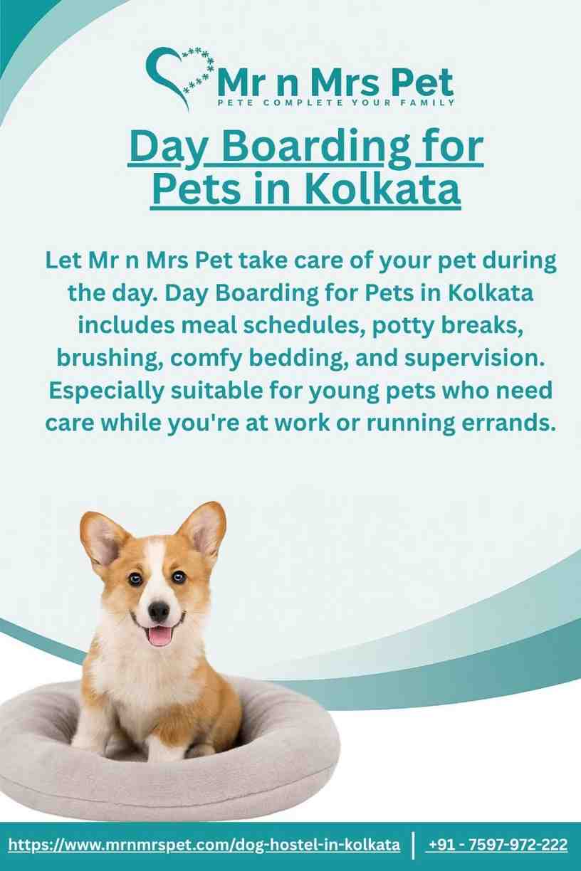 Day Boarding for Pets in Kolkata - Kolkata
