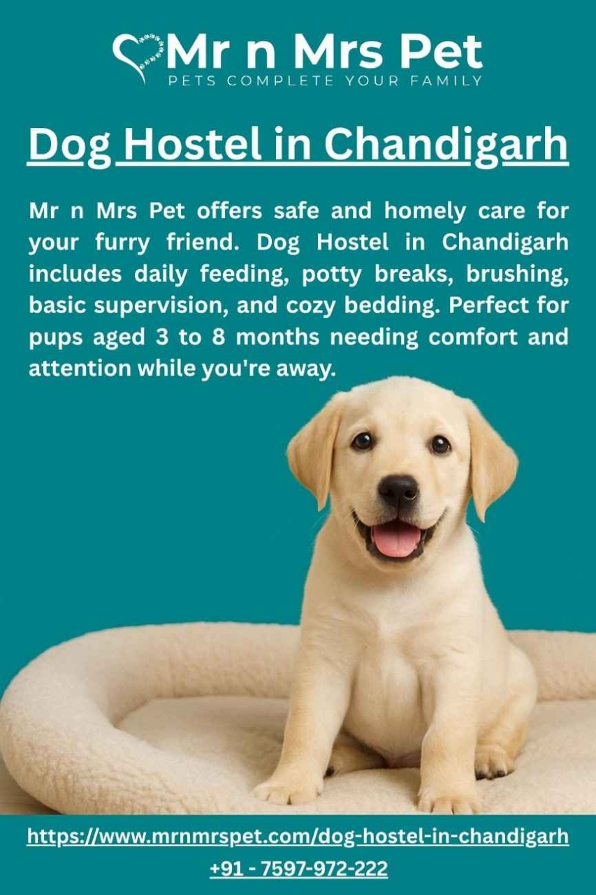Dog Hostel in Chandigarh - Chandigarh
