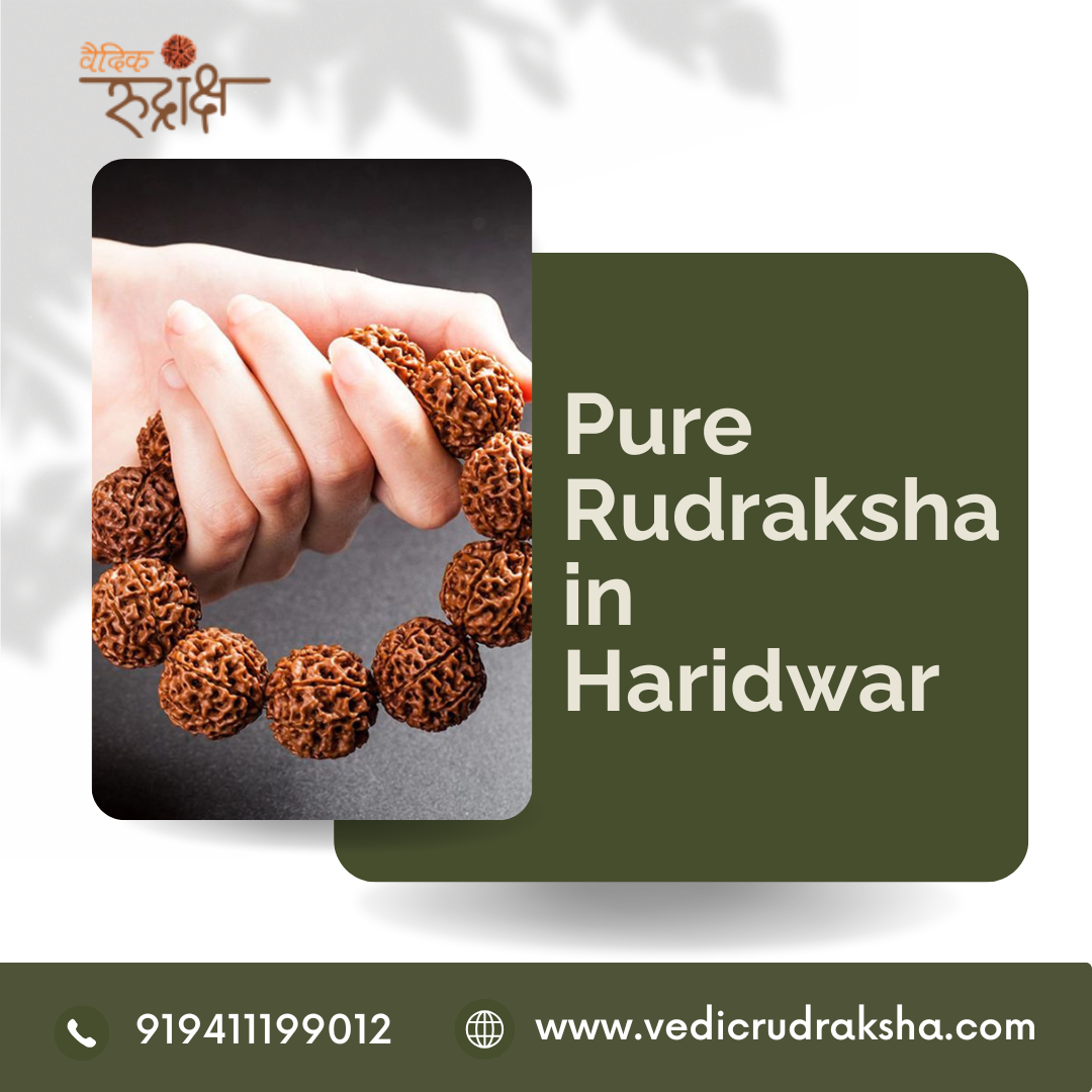 Vedic Rudraksha: Your Sacred Source for Meditation, Wellness, and Divine Protection - Dehradun Vedic Rudraksha: Your Sacred Source for Meditation, Wellness, and Divine Protection - Dehradun