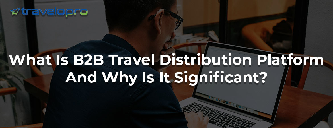 B2B Travel Distribution Platform - Bangalore