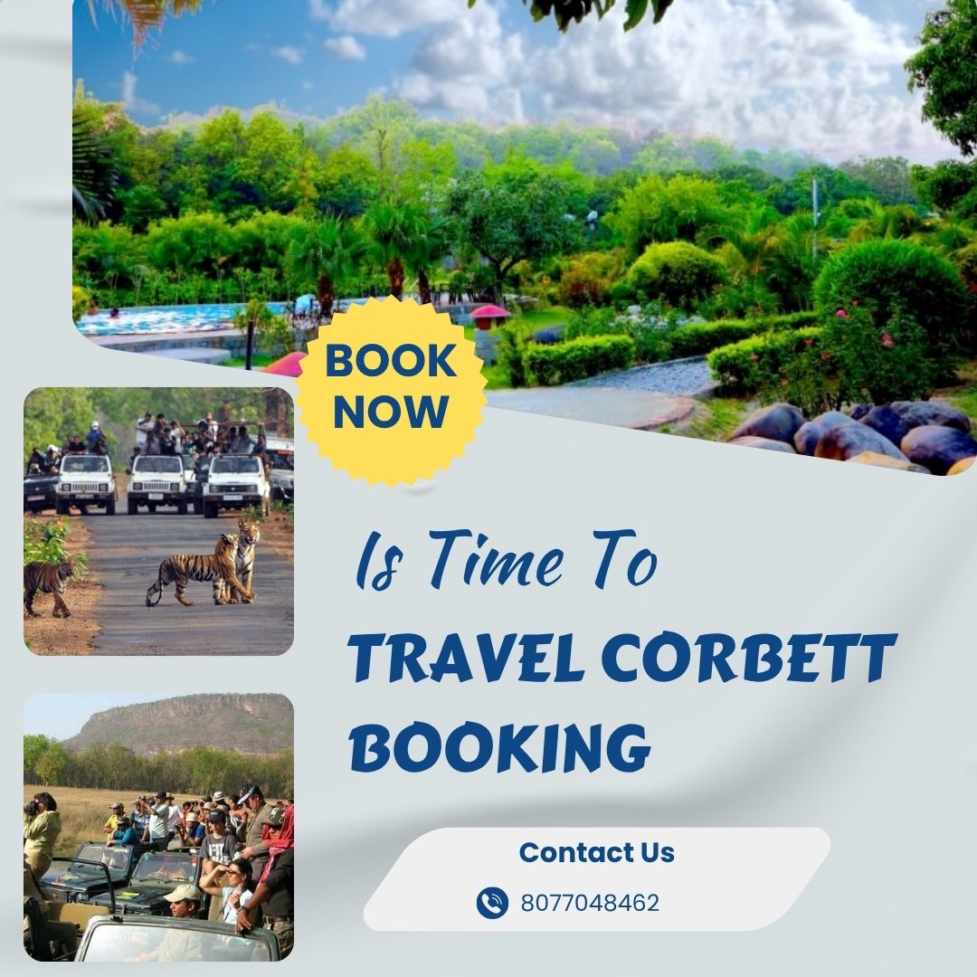 Corbett Booking: Your Gateway to a Seamless Wildlife Experience in Jim Corbett National Park - Dehradun