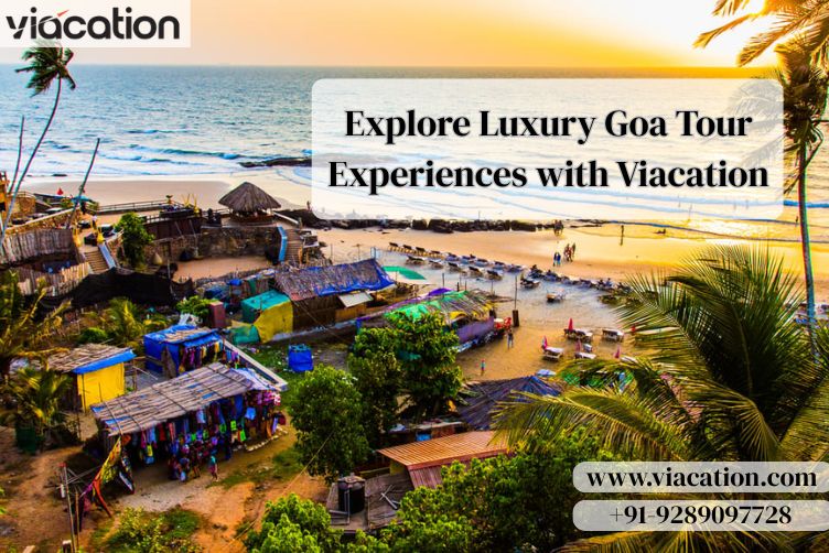  How to Make Idli Sambar Using Health Mark Sooji - Shimla