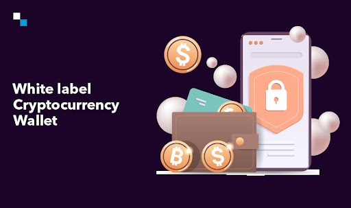Start your precision-driven white label cryptocurrency wallet project today  - Chandigarh