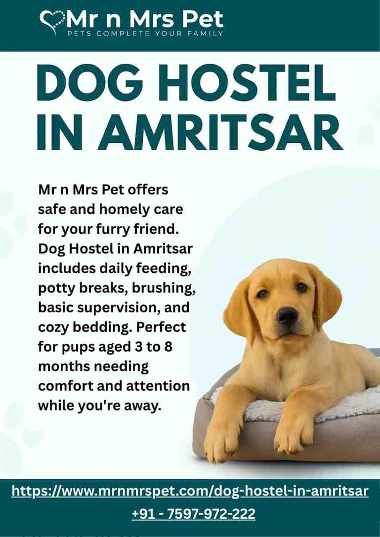 Dog Hostel in Amritsar - Amritsar