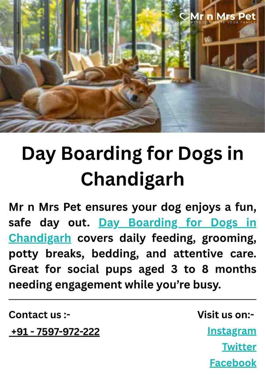 Day Boarding for Dogs in Chandigarh - Chandigarh