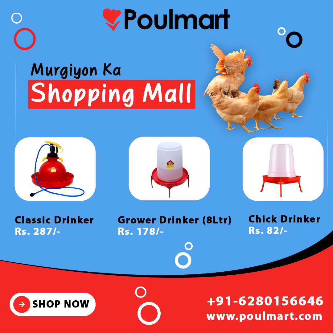 Poulmart | Murgiyon ka Shopping Mall - Panchkula