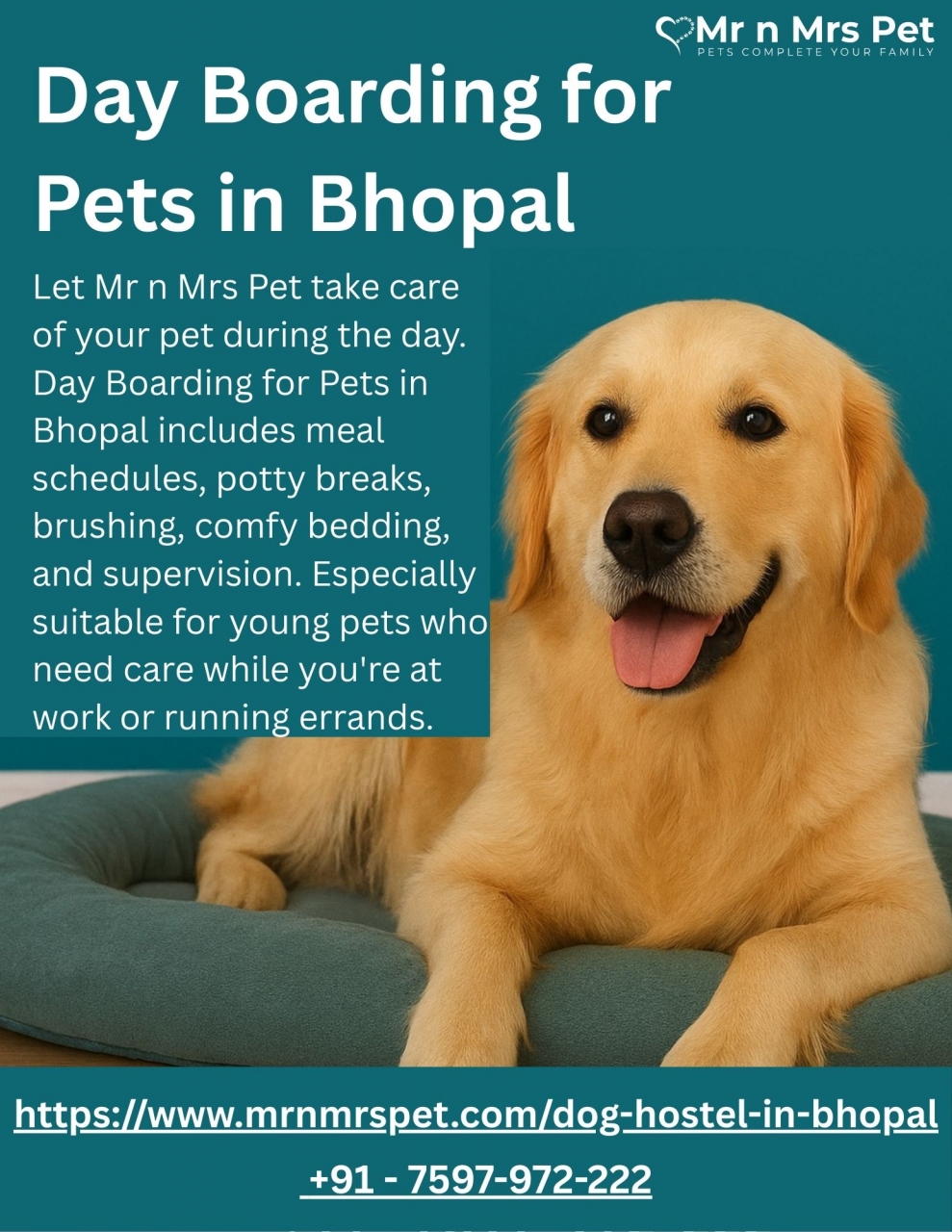 Day Boarding for Pets in Bhopal - Bhopal