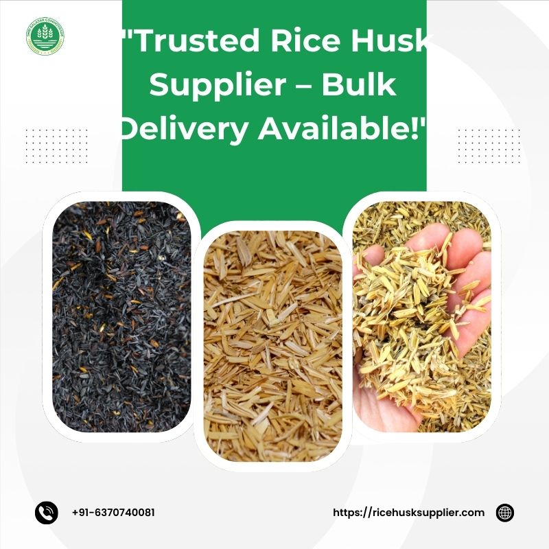 Trusted Rice Husk Supplier – Bulk Delivery Available!" - Delhi