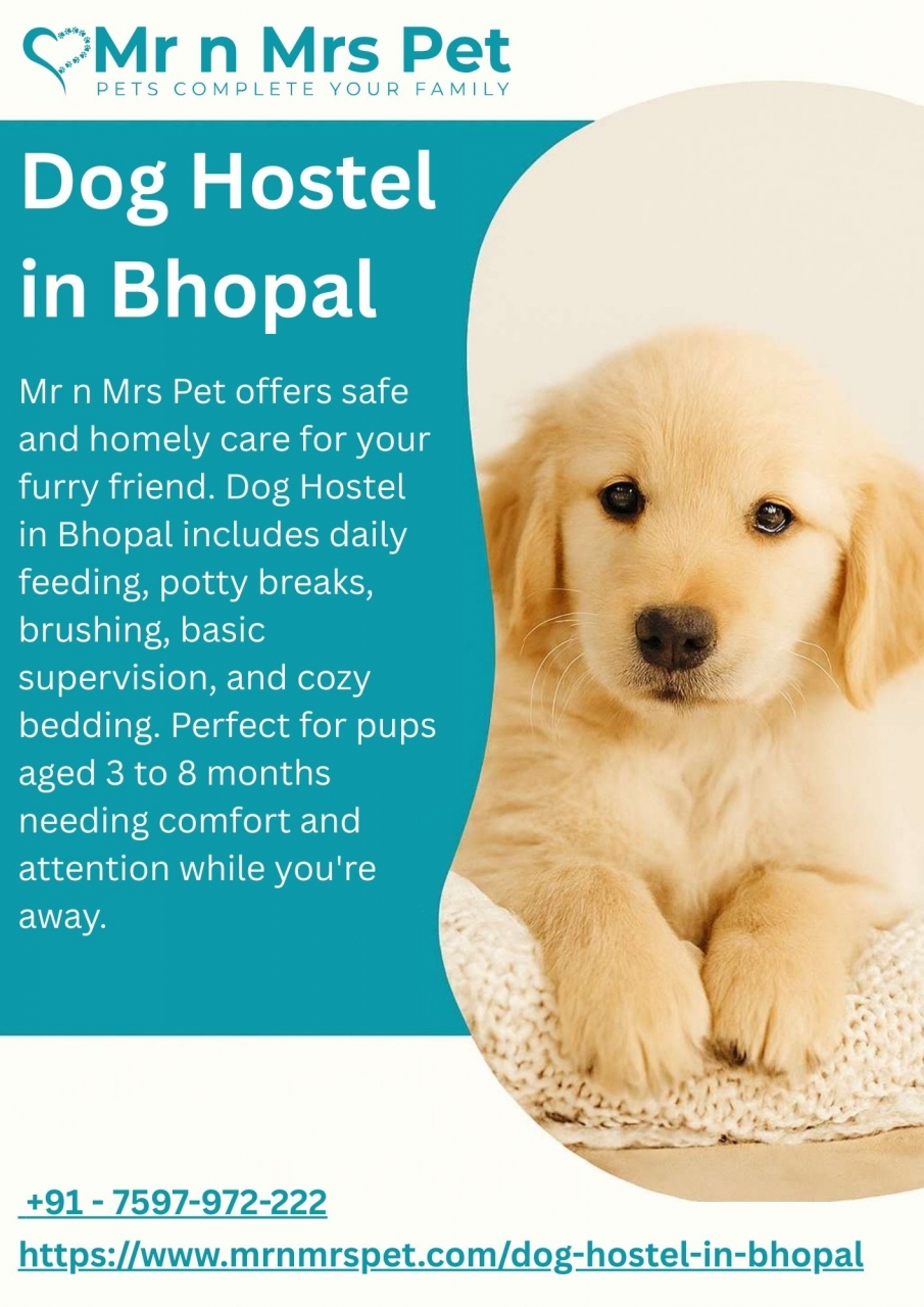 Dog Hostel in Bhopal - Bhopal
