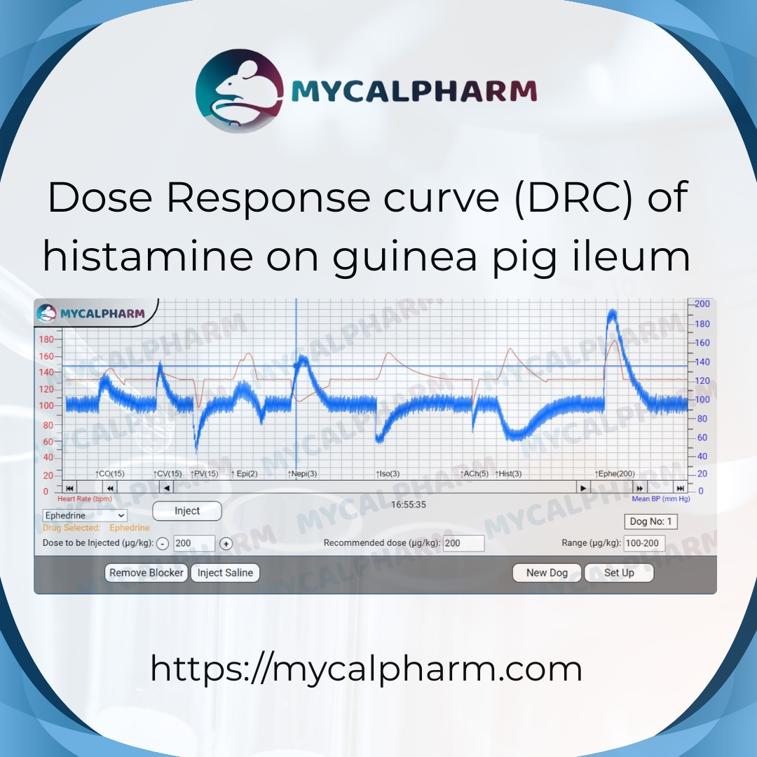 Dose Response curve (DRC) of histamine on guinea pig ileum - Delhi