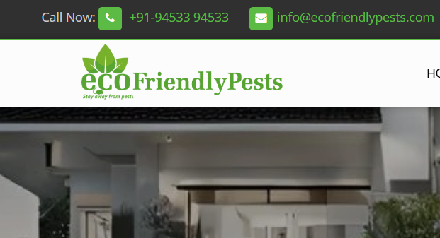 Pest Control Services in Mumbai – 100% Hygienic & Eco-Friendly | EcoFriendlyPests - Mumbai