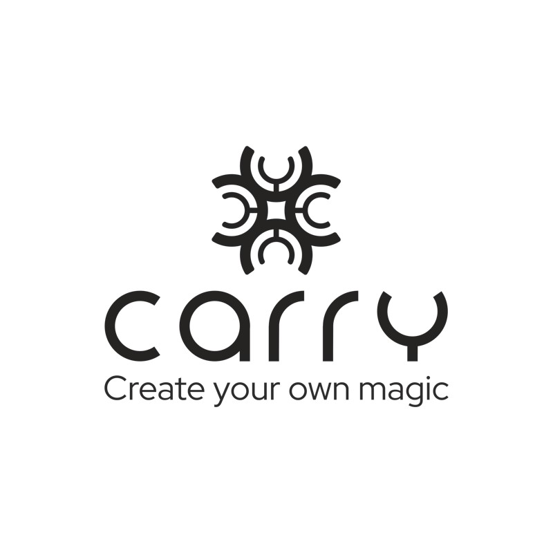 Carry The Leather Studio - Indore