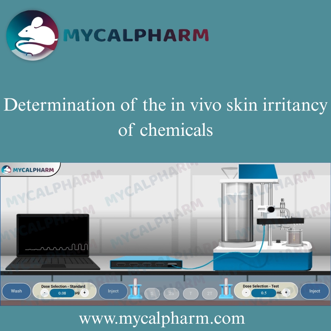 Determination of the in vivo skin irritancy of chemicals - Delhi