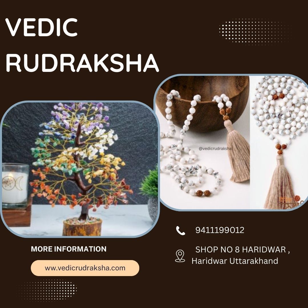 Nepali Rudraksha Buy Online Authentic Mala Necklace & Sale Guide - Dehradun