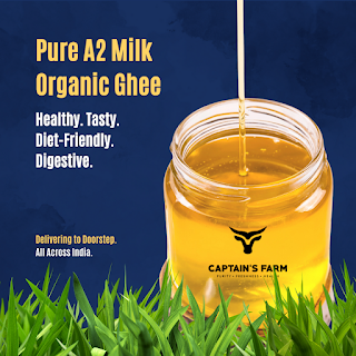 The Hidden Truth Behind Ghee in Supermarkets: Is Yours Real or Just Yellow? - Panvel - Mumbai The Hidden Truth Behind Ghee in Supermarkets: Is Yours Real or Just Yellow? - Panvel - Mumbai