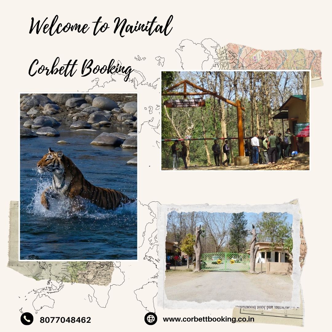 Phato Zone Safari Timings – Plan Your Perfect Corbett Experience - Dehradun