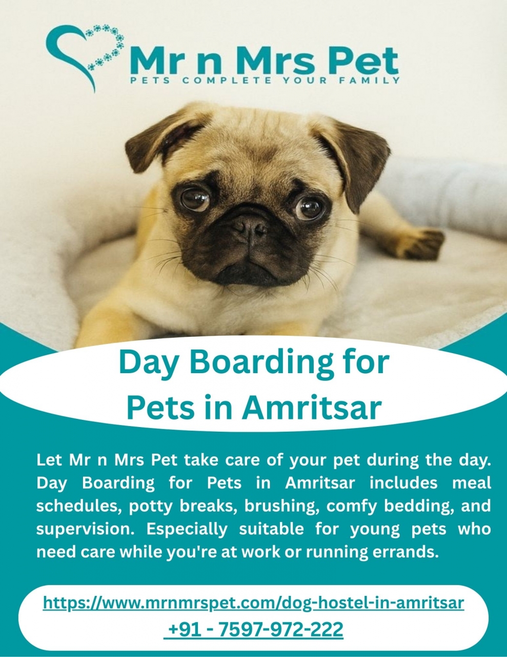 Day Boarding for Pets in Amritsar - Amritsar