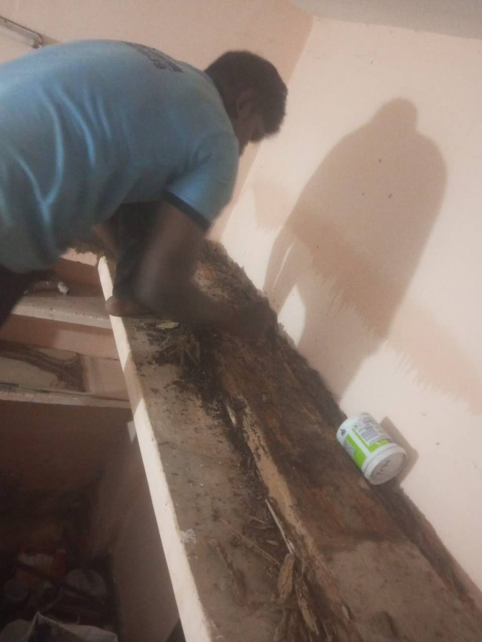 Tired of pests invading your home or office and disturbing your peace of mind? - Chennai