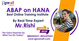 SAP ABAP on HANA Online Training in Hyderabad | Igrowsoft - Hyderabad