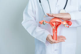 Fibroid Prevention – Reduce Fibroid Risk with Expert Care | IRFacilities - Mohali