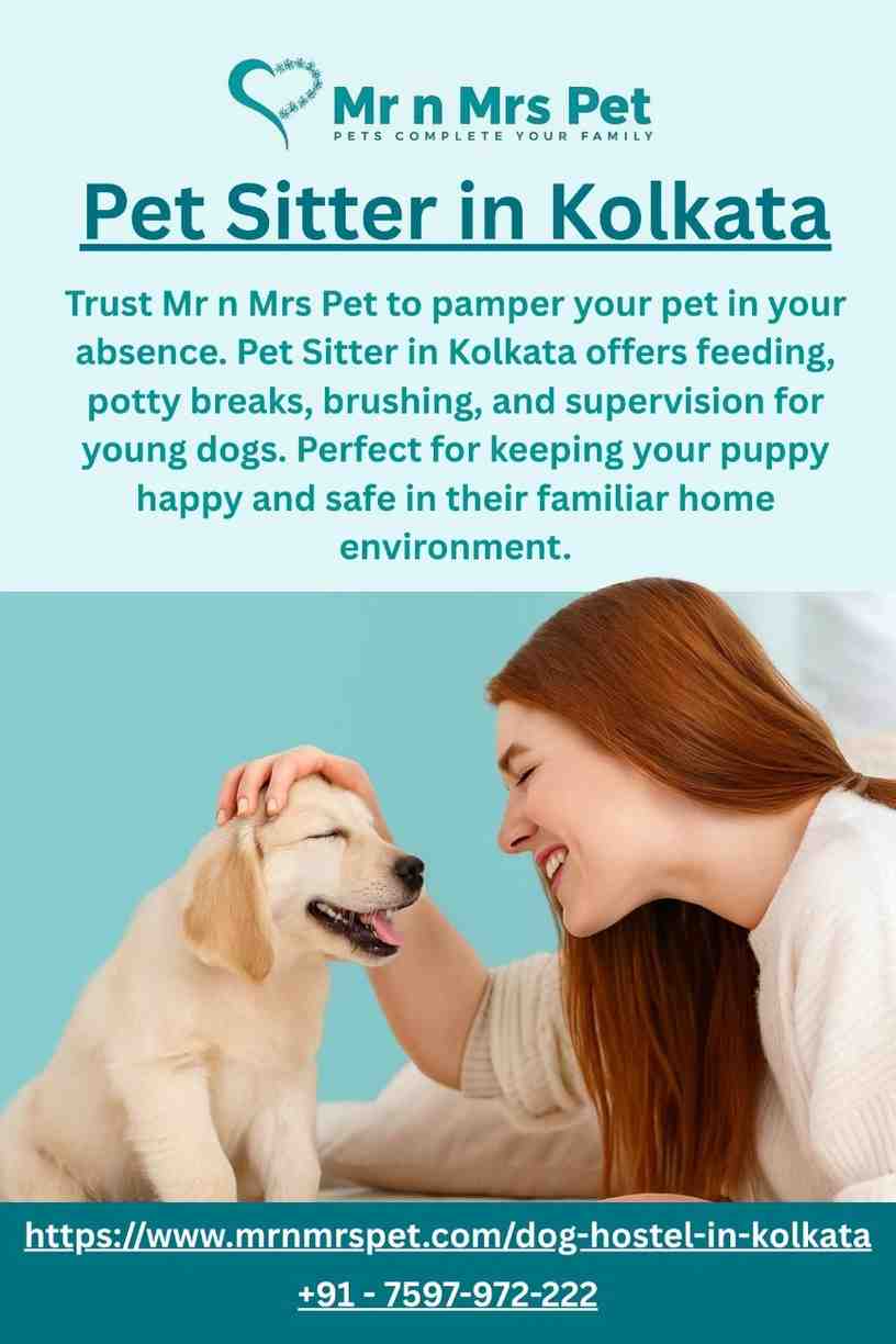 Pet Sitter in Kolkata - Kolkata