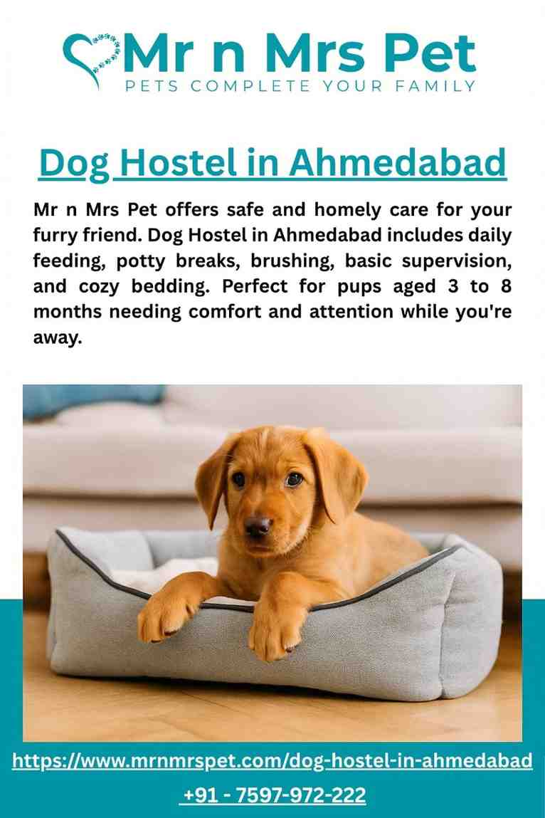 Dog Hostel in Ahmedabad - Ahmedabad
