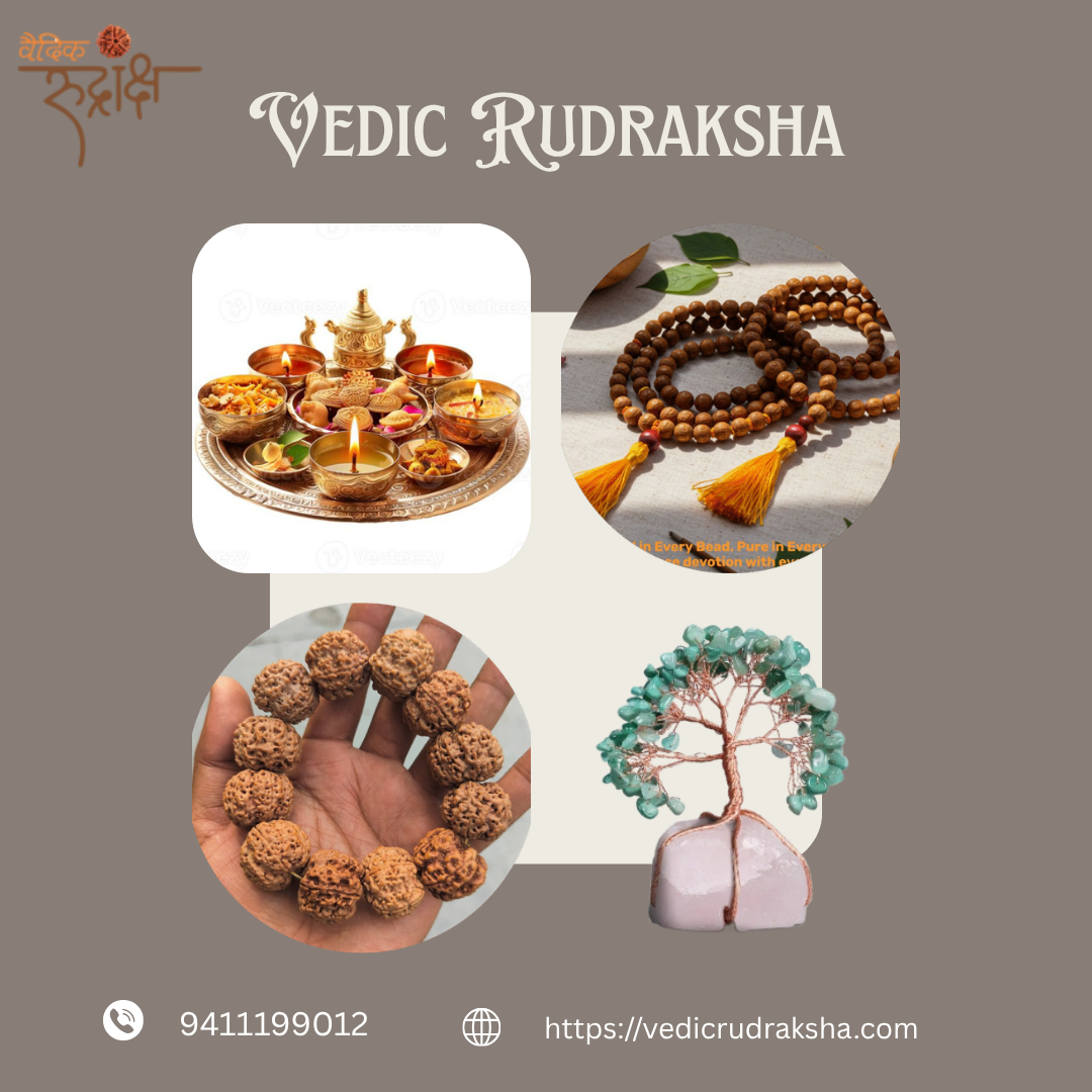 Discover the Divine Power of Pure Rudraksha Beads in Haridwar - Dehradun