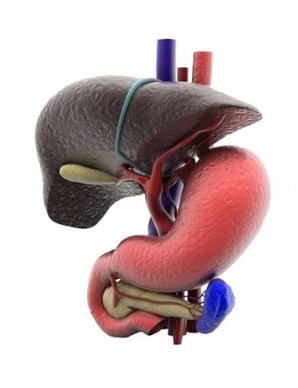 Best gastrointestinal cancer surgeon in Dehradun - Dr. Sachin Arora - Dehradun