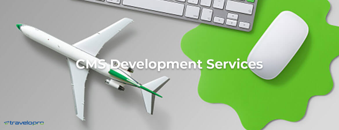 CMS Development Services