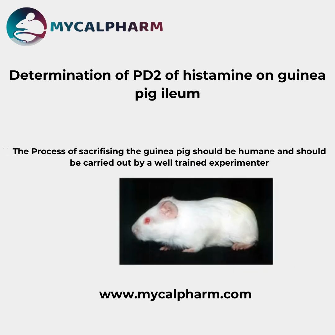 Determination of PD2 of histamine on guinea pig ileum - Delhi