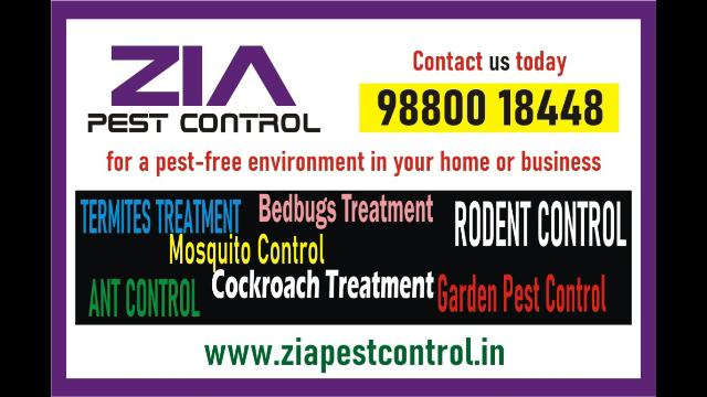 Zia Pest control | Ant | Termite | Rodent control treatment | 2014 - Bangalore Zia Pest control | Ant | Termite | Rodent control treatment | 2014 - Bangalore