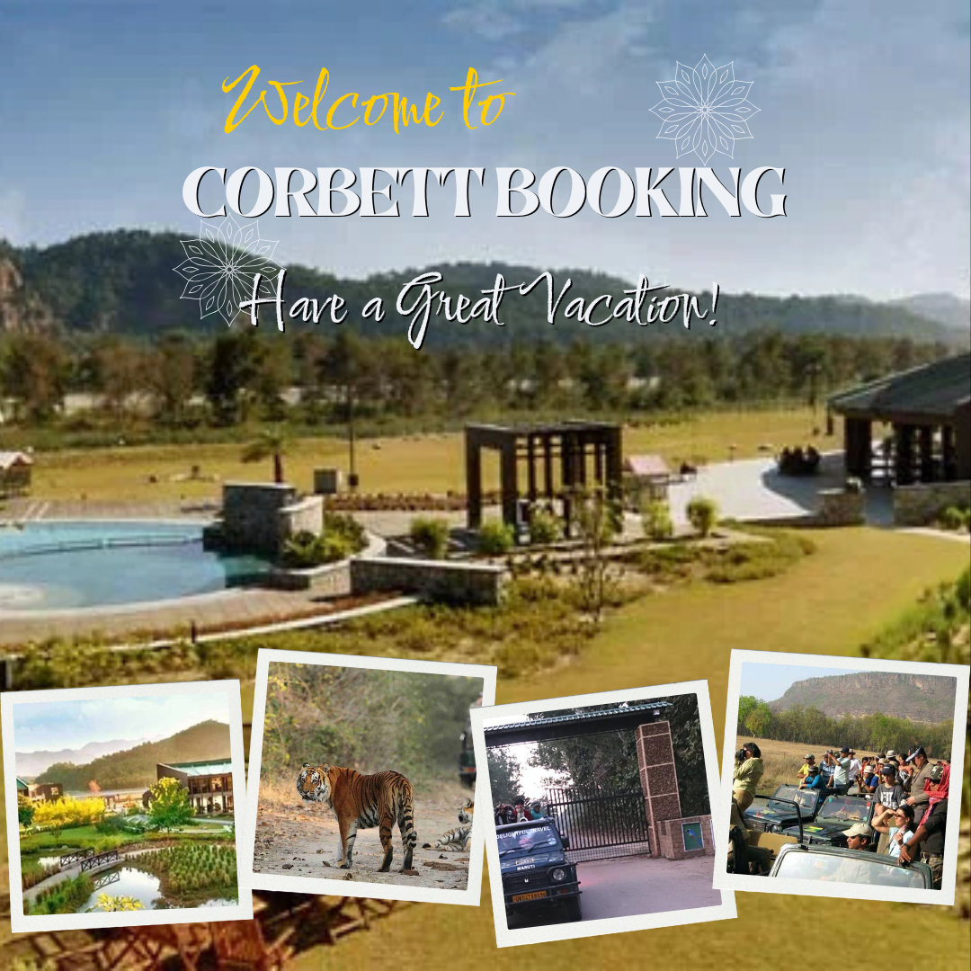 Corbett Booking: Your Trusted Partner for Authentic and Affordable Phato Zone Wildlife Adventures - Dehradun Corbett Booking: Your Trusted Partner for Authentic and Affordable Phato Zone Wildlife Adventures - Dehradun