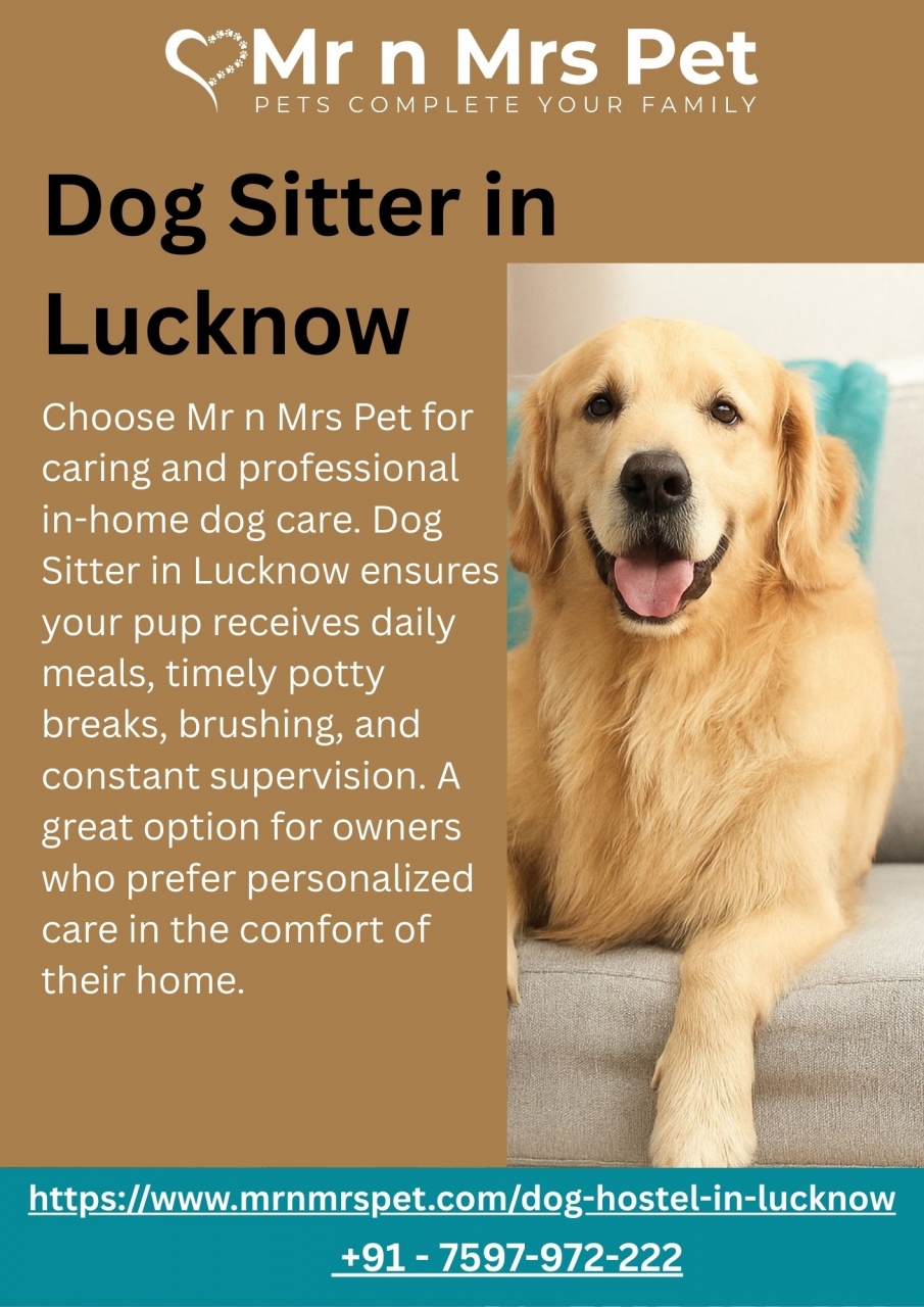 Dog Sitter in Lucknow - Lucknow