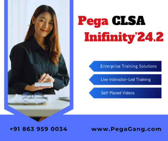 Pega Certified Lead System Architect (CLSA) Infinity'24.2 Online Training for IT Professionals – PegaGang - Chennai