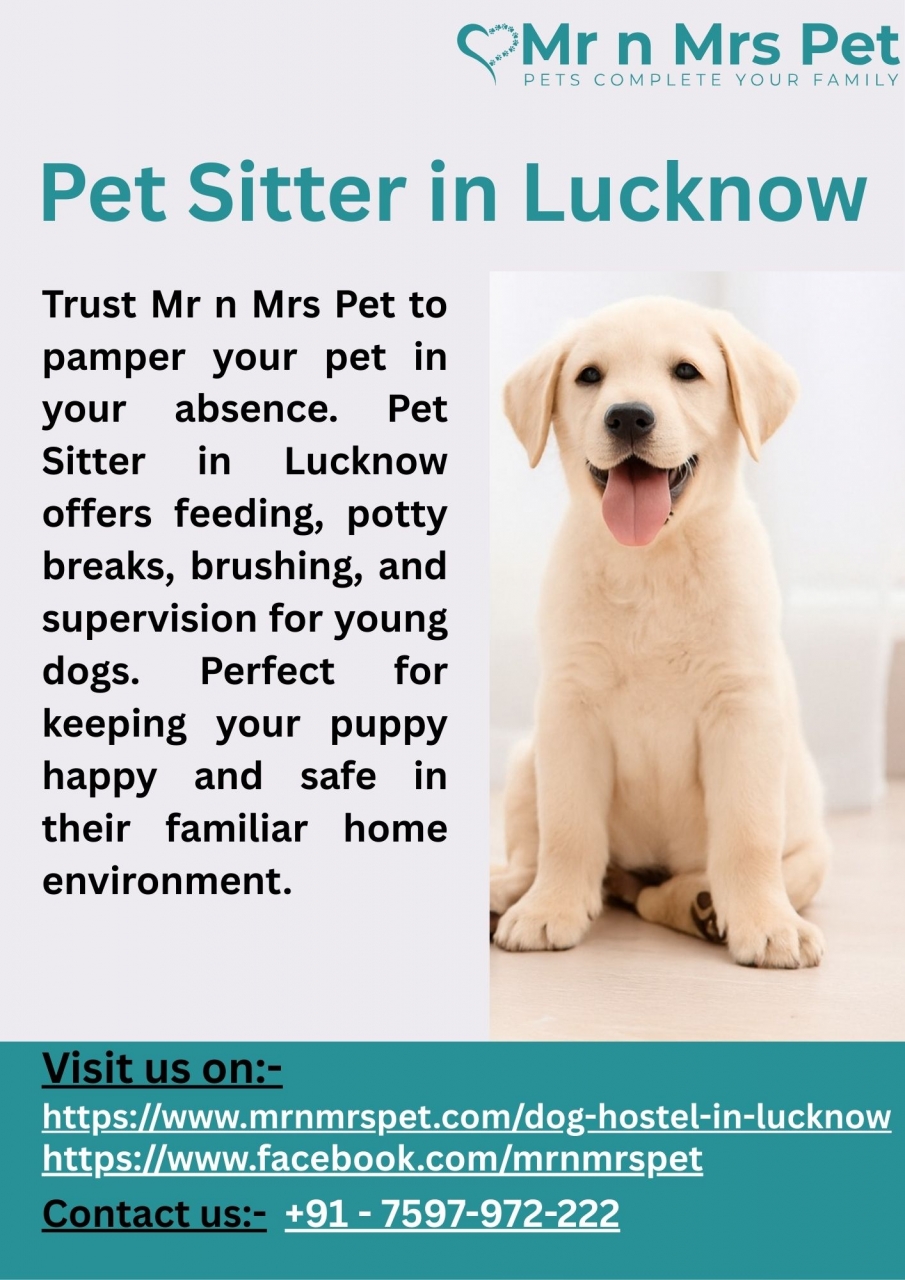 Pet Sitter in Lucknow - Lucknow