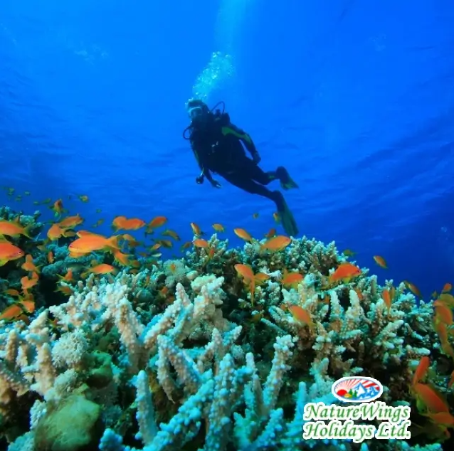 Andaman Package Tour from Kolkata for a Perfect Holiday Plan - Kolkata