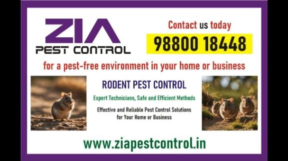 Bangalore Rodent pest Control near me | Pest service price rs. 1200/- | 8086 - Bangalore