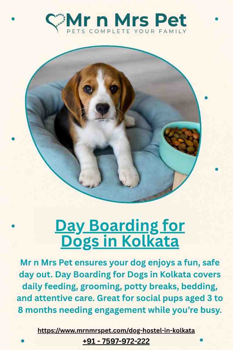 Day Boarding for Dogs in Kolkata - Kolkata