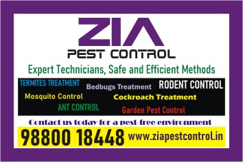 Bedbug Treatment services in bangalore | Zia Pest Control  | 1812 - Bangalore