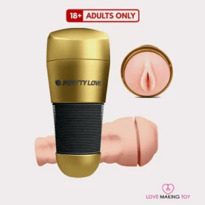 Buy Pretty Love Kitty Gold 3D Toy - 100% Secret Safe Box - Bangalore